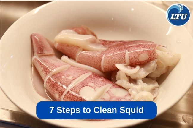7 Steps to Clean Squid